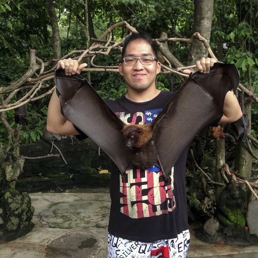 Photo with Bat at Alas Kedaton in Bali