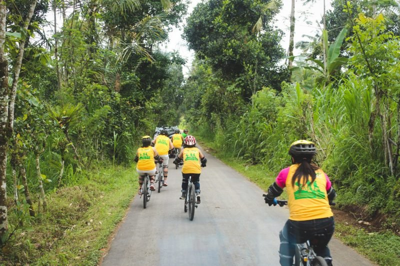 Bali Cycling Kintamani Ubud