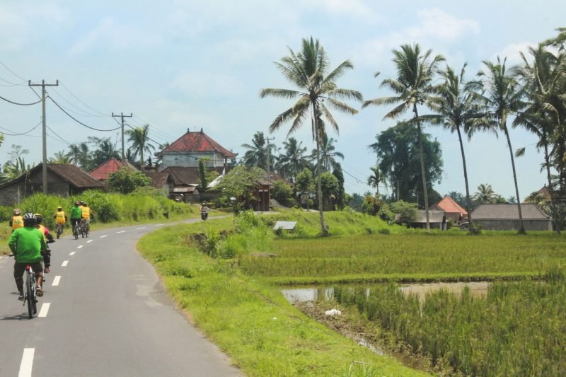 Bali Cycling Kintamani Ubud