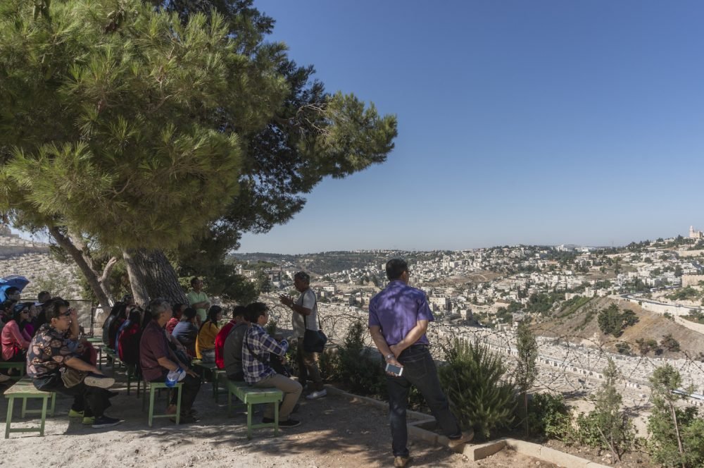 Jerusalem City View from Dominus Flevit Church