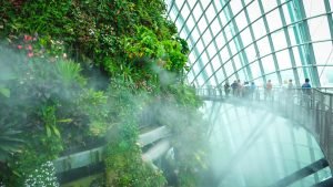 Cloud Forest Misting Time