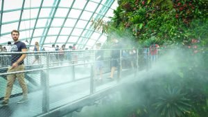 Cloud Forest Misting Time