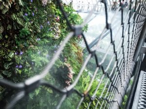 Cloud Forest Misting Time