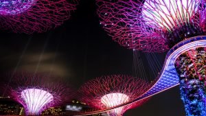 Supertrees Groove - Gardens by The Bay
