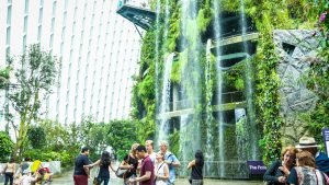 gardens-by-the-bay-singapore-Cloud-forest