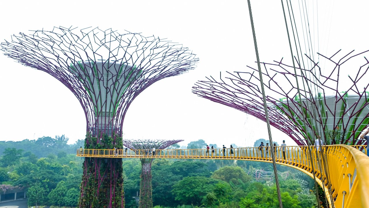 Supertrees Groove - Gardens by The Bay